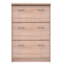 Dulap pentru pantofi TOPTY 3K tip 24, stejarSonoma