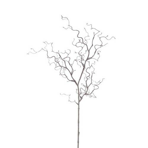 Umetna veja brez listov, 79 cm