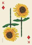 Chronicle Books LEGO® Set botanických hracích kariet