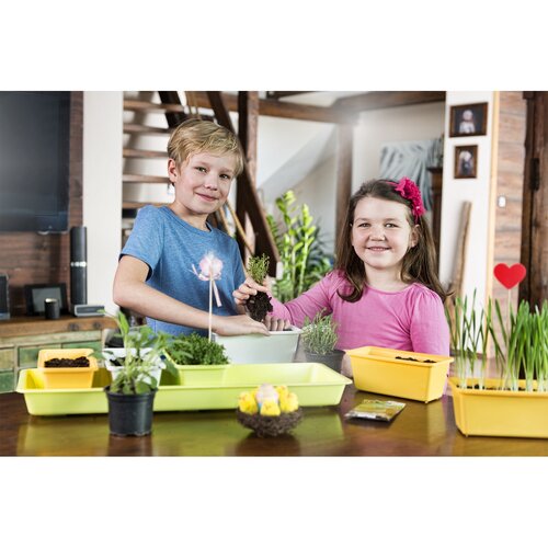 Gardenico Set of 5 Mini Garden Planter Boxes, 60cm