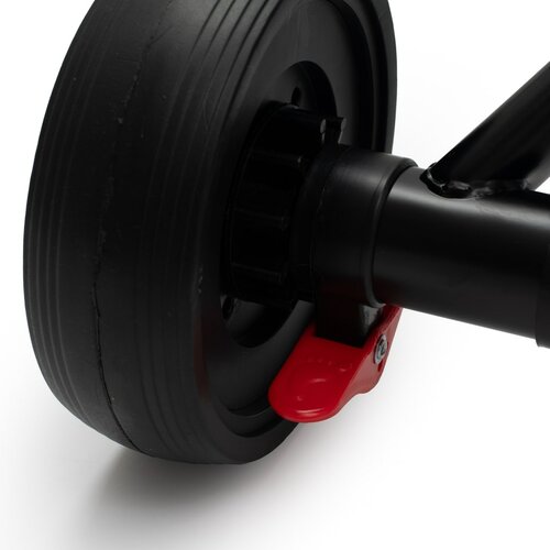 Baby Mix Rowerek trójkołowy dla dzieci Peony EVA, różowy