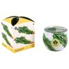Arome dišeča sveča v steklenem kozarcu Rosemary,90 g
