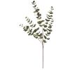 Eukalyptus - umelá vetva, veľké listy, 100 cm, zelená