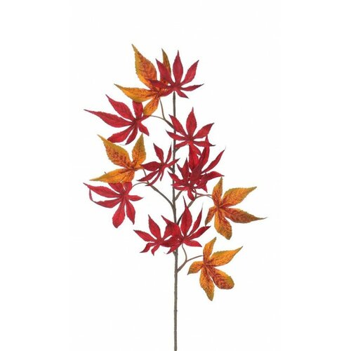 Őszi ág készlet Javor, 60 cm, 2 db