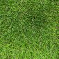 Covor Bermuda iarbă artificială, 133 x 300 cm