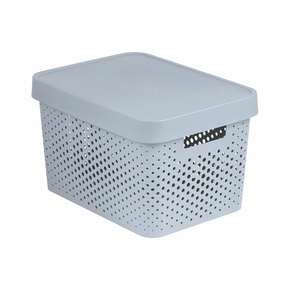 Curver Aufbewahrungsbox mit Deckel INFINITY 17 l, Grau