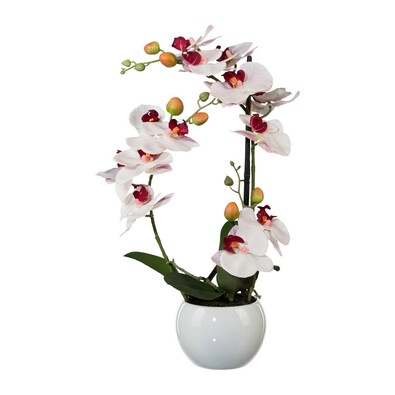 Umetna orhideja v keramičnem loncu, bela, 42 cm