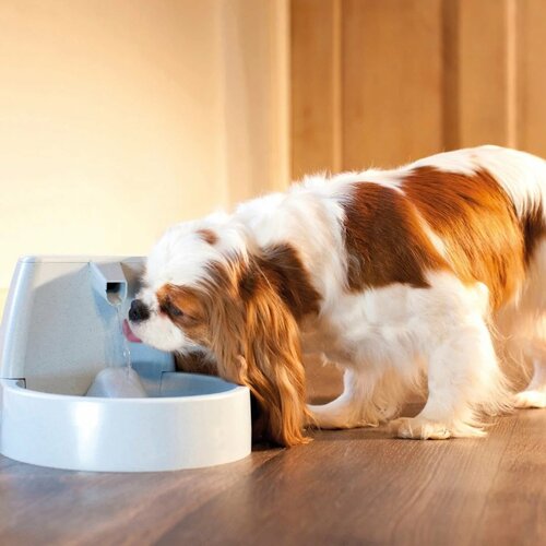 PetSafe® Original fontana 1,5 l