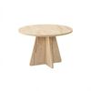 Konferenčna mizica Mushroom Travertine