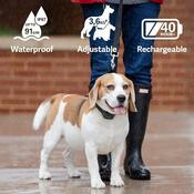 PetSafe® Audible Bark Collar Zgardă anti-lătrat cusunet