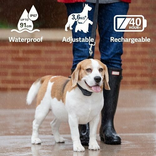 PetSafe® Audible Bark Collar Zgardă anti-lătrat cusunet