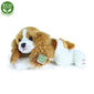 Rappa Plüsch liegender Hund Cavalier King Charles Spaniel, 30 cm