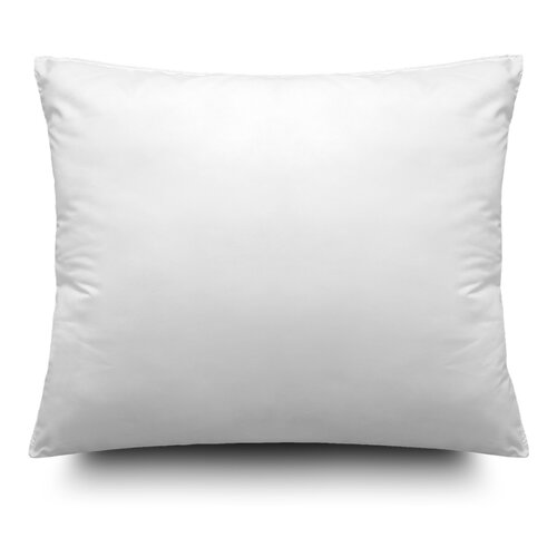 John Cotton Blazina The first, 70 x 90 cm