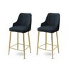 Barstuhl-Set Enox Anthracite and Gold, 2 Stück