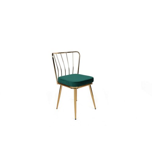 Set de scaune de sufragerie Yildiz Green and Gold,4 buc.