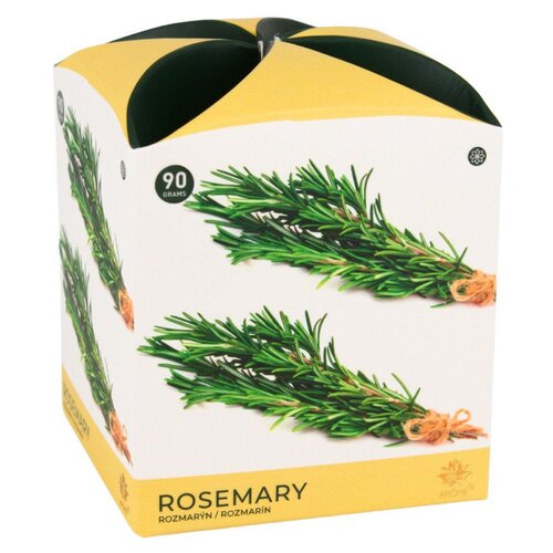Arome dišeča sveča v steklenem kozarcu Rosemary,90 g