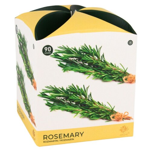 Lumânare parfumată Arome Rosemary în sticlă, 90 g
