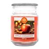 ARÔME Свічка 510 г, у склі, Apple Cinnamon