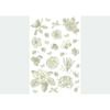 Samolepilne dekoracije Old Graphics Florals, 42,5x 65 cm