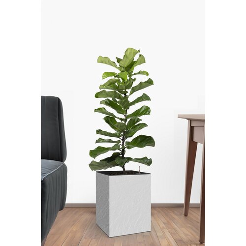 Ghiveci cu auto-udare Flower Lover CubicoStone alb, 27 x 42 cm