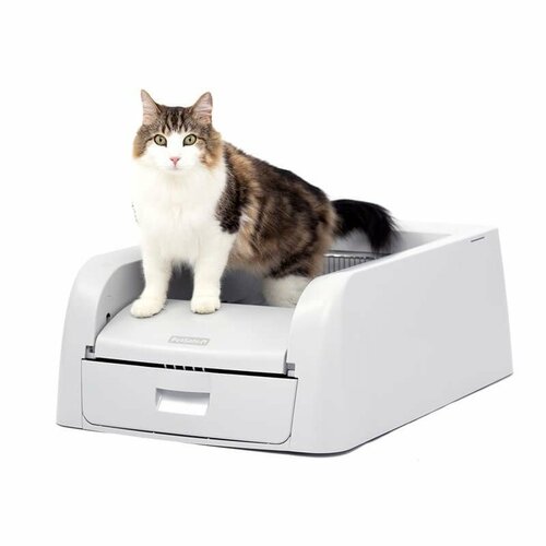 PetSafe® ScoopFree™ Toaletă automată pentru pisici, cu autocurățare