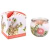 Arome dišeča sveča v steklenem kozarcu CheryBlossom, 90 g