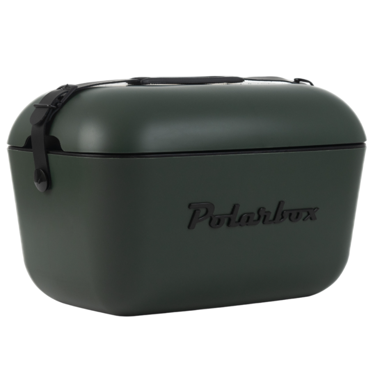 Polarbox Chladící box Classic Black 12 l, zelená, 12 l