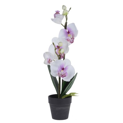 Orchidea virágtartóban fehér, 38 cm