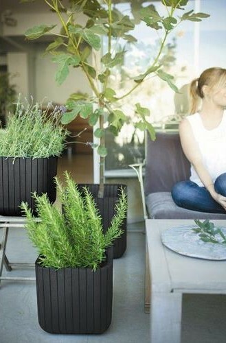 Keter květináč Cube M 50,5l antracitová