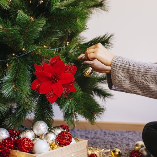 Vánoční dekorace Poinsettia se skřipcem červená, sada 6 ks