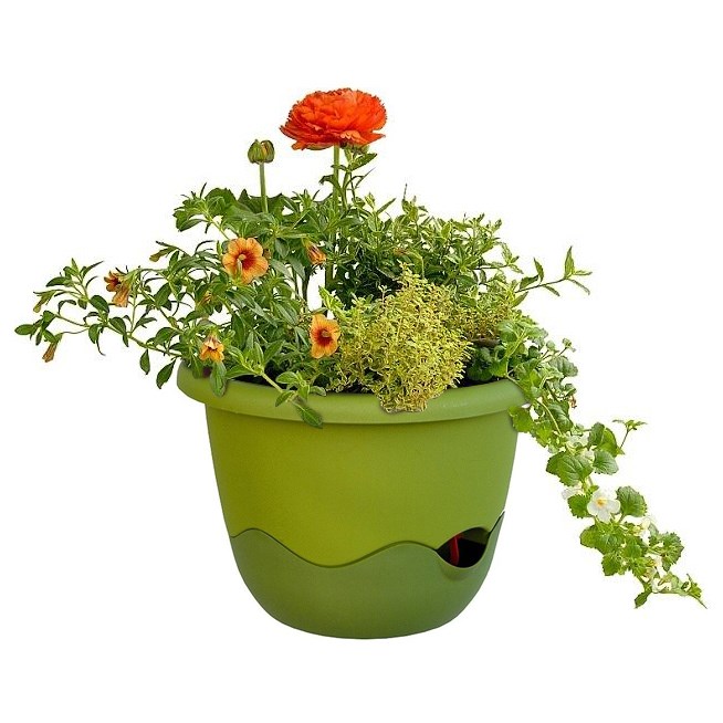 Mareta 25 önöntöző virágtartó, zöld, függesztett, sötétzöld, 25 cm átmérőjű termék 2. képe