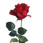 Umělá květina Růže červená, 60 cm