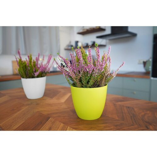 Gardenico Doniczka Ella matowy biały, śr. 18 cm