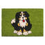 Kókusz lábtörlő fekete kutya 358 zöld 40 x 60 cm