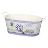 Бляшаний ящик для квітів Лаванда, 26 x 16 x 12 см