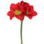 Sztuczna Amarylka czerwony, 52 cm