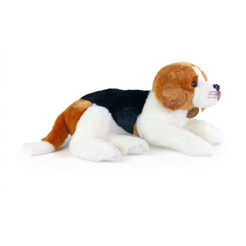 Koopman Pluszowy pies beagle, 38 cm
