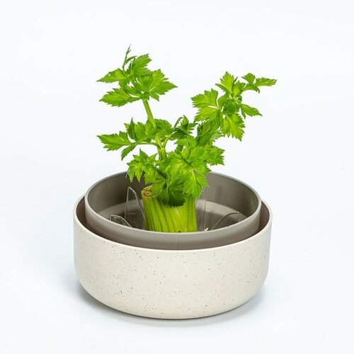 Plastia Regrow, slonovina s kavno usedlino