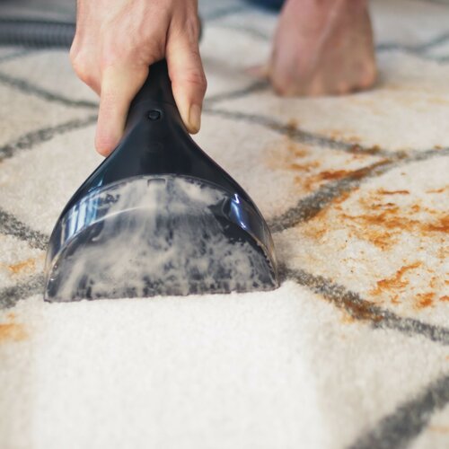 Bissell SpotClean Odkurzacz uniwersalny  Professional