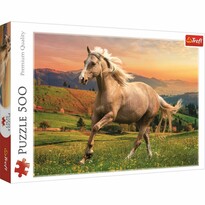 Trefl Puzzle Popoludňajší beh, 500 dielikov Trefl Puzzle Popoludňajší beh, 500 dielikov