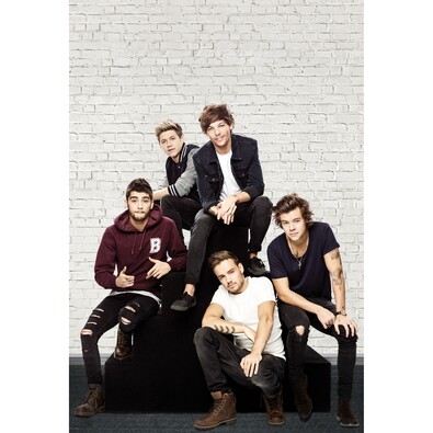Fototapeta One direction 3,315 x 232 cm