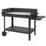 Tepro 00299-1 Grill Atlanta, 136 x 63 x 91 cm, 136x 63 x 91 cm
