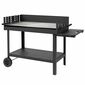 Tepro 00299-1 Grill Atlanta, 136 x 63 x 91 cm, 136x 63 x 91 cm