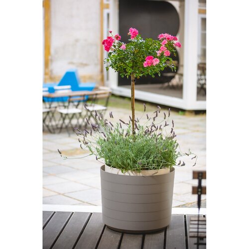 Plastia Samonawadniająca donica wielkogabarytowa Berberis 55, taupe + kość słoniowa