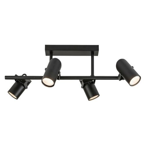 Rabalux 73044 lampy sufitowe Maximilian, 4 ramiona