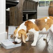 PetSafe® avtomatski krmilnik za hišne živaliAutomatic 2 Meal Pet Feeder
