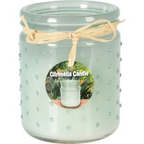 Repelentná sviečka Citronella 230 g, zelená, 10,5 x 12,5 cm