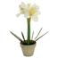 Clivia de Crăciun artificială, în ghiveci30 cm, alb,