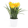Umělá květina Narcis, tmavě žlutá