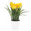 Umelá kvetina Narcis, tmavo žltá